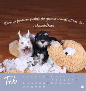 Ziemlich beste Freunde Postkartenkalender 2026