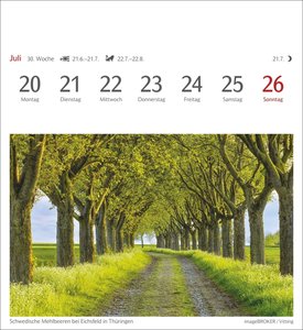 Bäume Postkartenkalender 2026