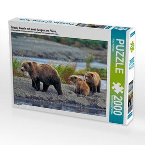 CALVENDO Puzzle Grizzly Baerin mit  zwei  Jungen am Fluss. 2000 Teile Puzzle quer