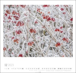 Bauerngärten Kalender 2023. Wandkalender mit 12 Fotos romantischer Gärten. Farbenprächtiger Natur-Kalender für die Wand. Quadratischer Jahres-Fotokalender mit Spiralbindung
