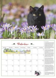 DUMONTS Katzenkalender 2025 - Broschürenkalender - Wandkalender - mit Schulferienterminen - Format 42 x 29 cm
