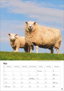 Deutschlands Küsten Kalender 2026