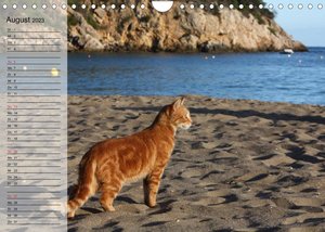 Zauberhaftes Ibiza - Terminplaner (Wandkalender 2023 DIN A4 quer)