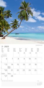 Summer Dreams 2023 - Broschürenkalender 30x30 cm (30x60 geöffnet) - Kalender mit Platz für Notizen - Bildkalender - Wandplaner - Alpha Edition