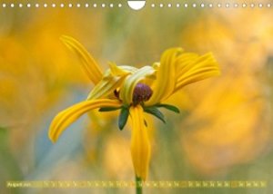 Die Poesie der Pflanzenwelt - Im Wandel der Jahreszeiten (Wandkalender 2023 DIN A4 quer)