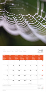 Wunderwerk Natur - Bizarre Strukturen - KUNTH Broschurkalender 2025