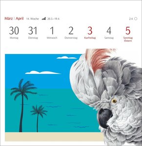 Welches Buch bin ich? Premium-Postkartenkalender 2026 - Literarischer Rätselkalender