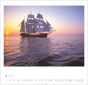 Tall Ships 2026