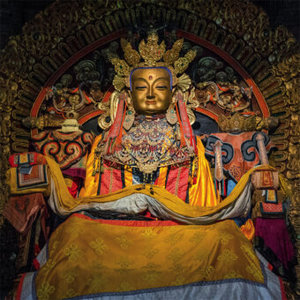 Buddhas Smile  2023