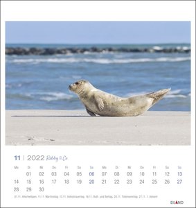 Robby & Co. Postkartenkalender 2022