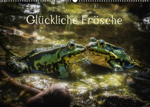 Glückliche Frösche (Wandkalender 2023 DIN A2 quer)