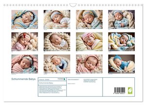 Schlummernde Babys (Wandkalender 2025 DIN A3 quer), CALVENDO Monatskalender