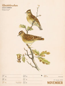 Wunderbare Vogelwelt - Vintage Wochenplaner Kalender 2025