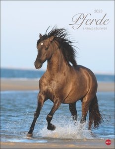 Pferde Classics Posterkalender 2023. Die Eleganz der Tiere in einem Kalender-Großformat eingefangen von Sabine Stuewer. Hochwertiger Fotokalender für Pferdefreunde.