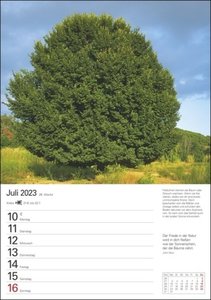 Bäume Wochenplaner 2023