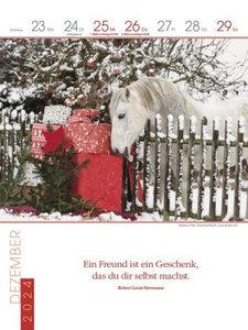 Literaturkalender Pferde 2024