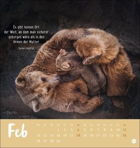 Mama! Postkartenkalender 2024. Entzückende Tier-Mütter und ihre Tierkinder in einem Tischkalender zum Aufstellen. Kalender-Postkarten zum Sammeln oder Verschicken an die Mama.