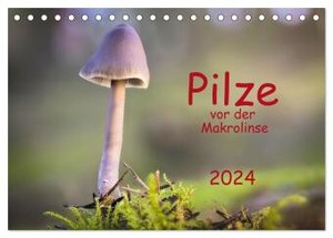 Pilze vor der Makrolinse 2024 (Tischkalender 2024 DIN A5 quer), CALVENDO Monatskalender