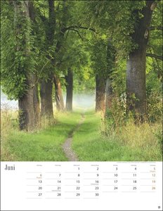 Wege zum Träumen Kalender 2022
