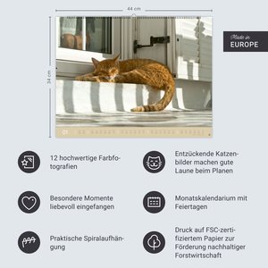 Monika Wegler: Katzenkalender 2026
