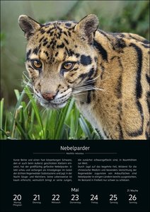 EinzigARTig Wochen-Kulturkalender 2024. 53 bedrohte Tierarten. Eindrucksvoller Fotokalender als Wand-Wochenplaner. Mit Infos zu Lebensweise & Artenschutz