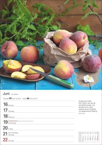 Küchenkalender Wochenplaner 2025 - 53 Blatt mit Zitaten und Rezepten