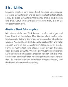 Wissen für Kids Tagesabreißkalender 2026