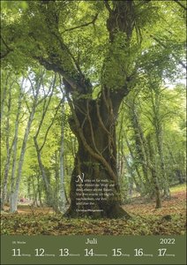Literaturkalender Im deutschen Wald 2022