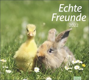 times&more Echte Freunde Bildkalender 2022