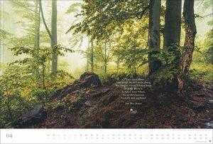 Der deutsche Wald - Ein literarischer Spaziergang Kalender 2026 - Ein literarischer Spaziergang