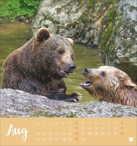 Bärenstark Postkartenkalender 2026