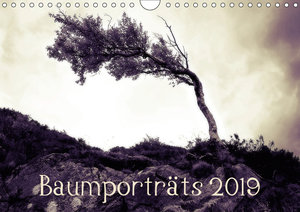 Baumporträts 2019