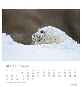 Robby & Co. Postkartenkalender 2026