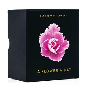 Flamboyant Flowers