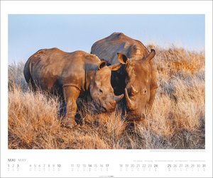African Wildlife Kalender 2026