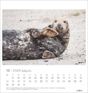 Robby & Co. Postkartenkalender 2026