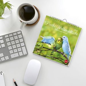 Freche Wellensittiche Postkartenkalender 2026