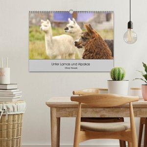 Unter Lamas und Alpakas (Wandkalender 2024 DIN A3 quer), CALVENDO Monatskalender
