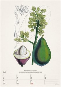 Bunte Pflanzenwelt Wochenplaner 2026