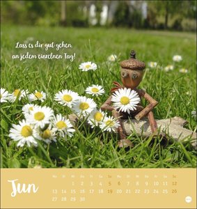 Eichelmännchen Postkartenkalender 2022