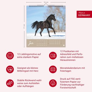 Pferde Postkartenkalender 2026