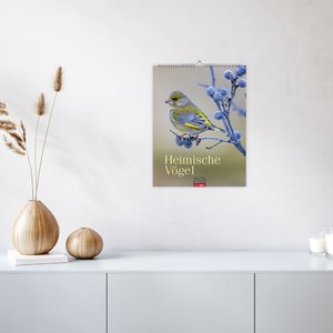 Heimische Vögel Kalender 2026