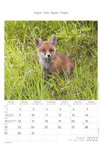 Gartenfreunde 2022 - Bildkalender 24x34 cm - Kalender mit Platz für Notizen - mit vielen Zusatzinformationen - Wandkalender - Alpha Edition