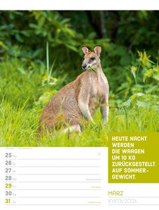 Tierisch! Sprüchekalender - Wochenplaner Kalender 2024