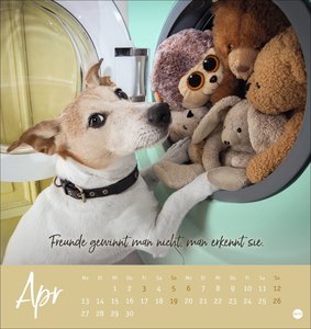 Ziemlich beste Freunde Postkartenkalender 2026