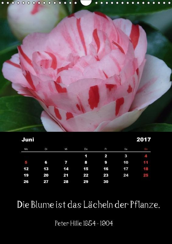Download Zitate beruehmter personen For iPhone