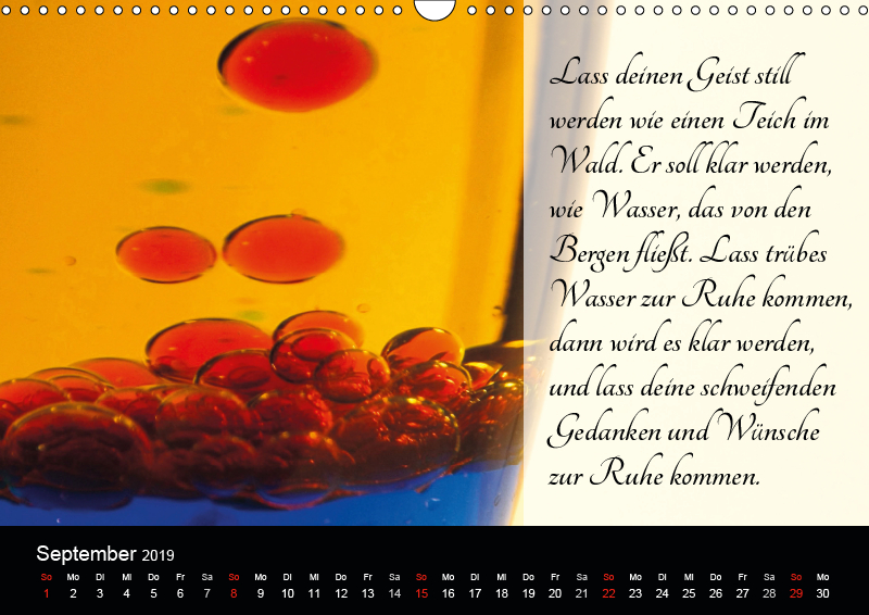 Mit Sprüchen Und Weisheiten Durchs Jahr