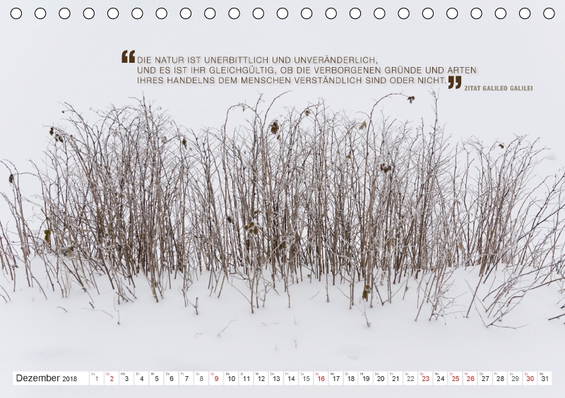 Download Beruehmte zitate gleichgueltigkeit Desktop Wallpaper