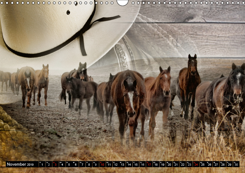 Download Westernreiten cowboy sprueche Desktop Wallpaper